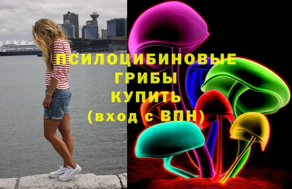 эйфоретик Арсеньев