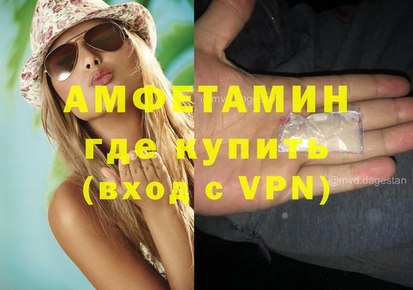 трава Аркадак