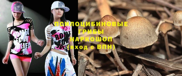 винт Армянск