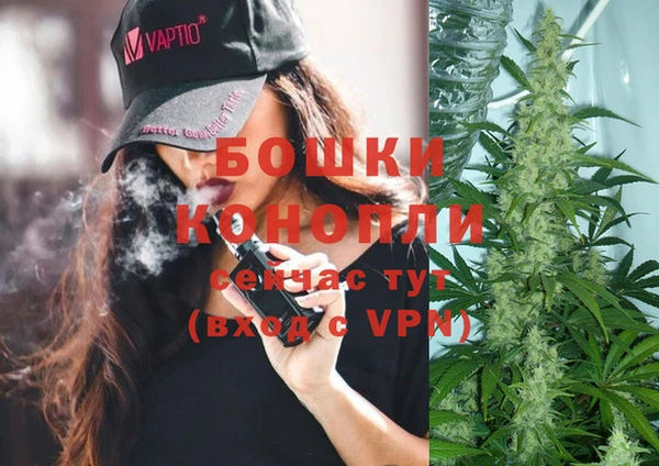 винт Армянск