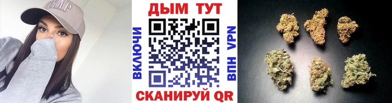 Купить где  Заволжье  Каннабис Amnesia 
